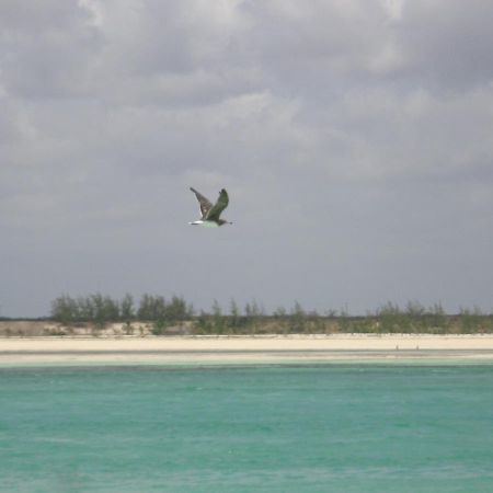 Chiky Villa Watamu Exterior photo